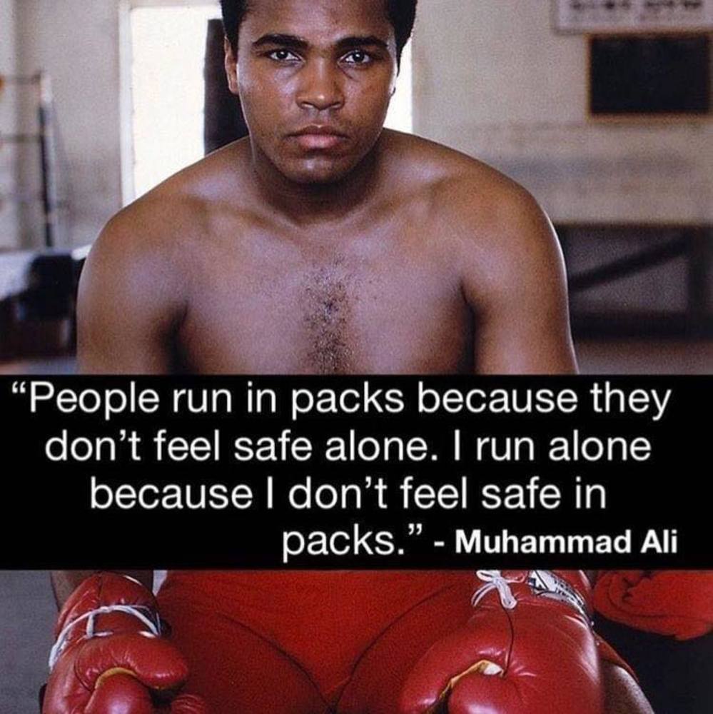 Meet your Posher, Junior